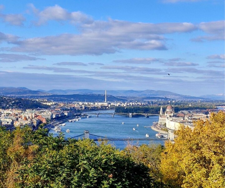 budap 26